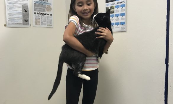 Morgan Brown adopts her cat Olivia