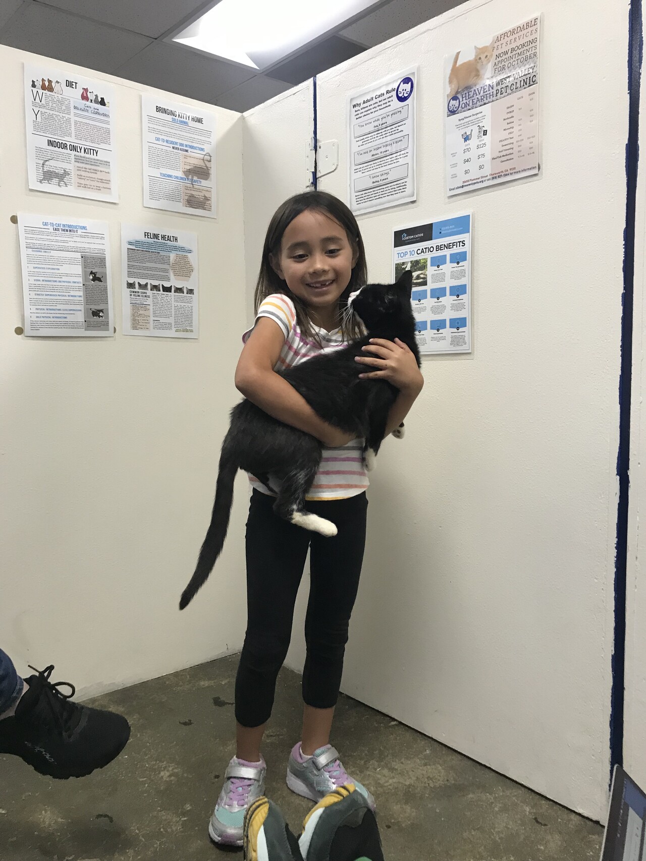 Morgan Brown adopts her cat Olivia